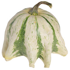 Dynia ozdobna © fotodrobik