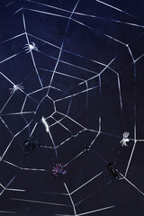 Spider web against black background