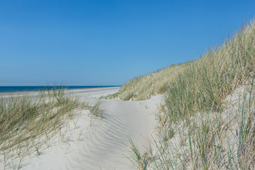 Fototapeta na wymiar Dünen an der Nordsee im Sommer