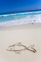 fish- a picture on sand