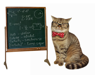 Scottish Straight cat wears glasses and a bow tie on white background. It looks like a professor.