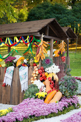 Harvest vegetables on fair trade in a wooden pavilion. Seasonal traditional ukrainian exhibition of farmers achievements. Agricultural products, rural market.