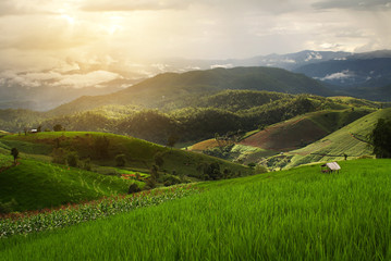 Fototapeta na wymiar Beautiful landscape with colorful, light and shadow during sunset of the rice terraces(paddy field) and mountains at Mae-Jam Village , Chaingmai Province in Thailand
