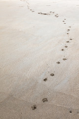 Footprints on tha sand