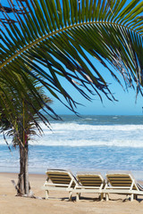 Fototapeta na wymiar summer beach sun chairs lounger near tropical sea