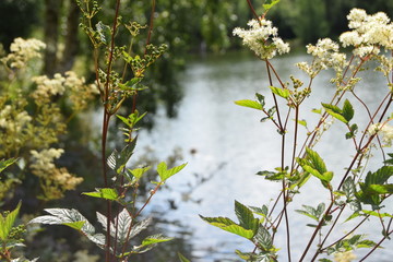 Lac cherapont gouvy