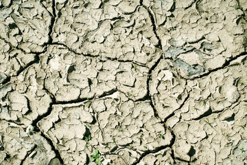 Dry soil with cracked surface