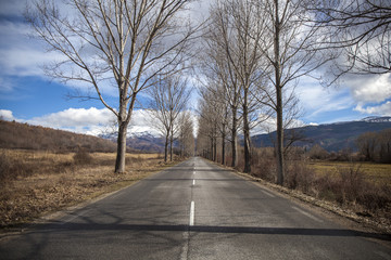 Dry Winter Road Landscape