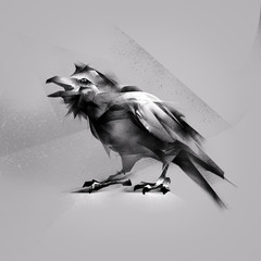 realistic graphics bird raven