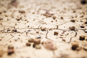 Drought land
