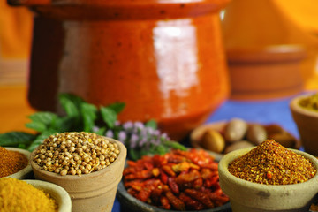Collection of different spices in old clay bowls in colorful oriental style