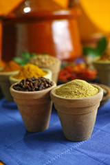 Collection of different spices in old clay bowls in colorful oriental style