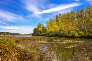 Siberian river Berd in autumn