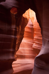 Nature's Abstraction