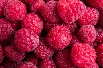 Fresh ripe raspberries macro shot, summer fruit background