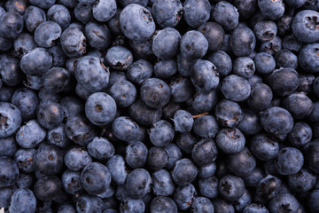 Fresh ripe blueberries macro shot, fruit background