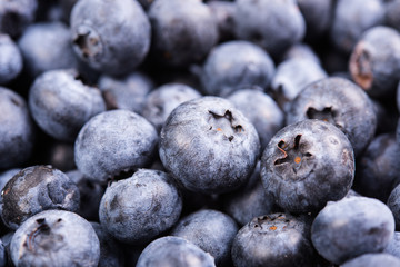 Fresh ripe blueberries macro shot, fruit background