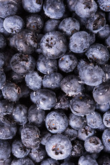 Fresh ripe blueberries macro shot, fruit background