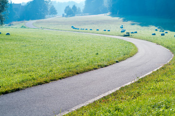 Twisting road on green meadow in the early morning