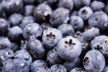 Fresh ripe blueberries macro shot, fruit background