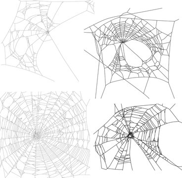four black spider webs illustration