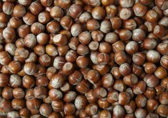 A full page of hazelnuts background texture