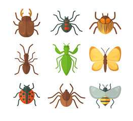 Set of various insects. Vector illustration
