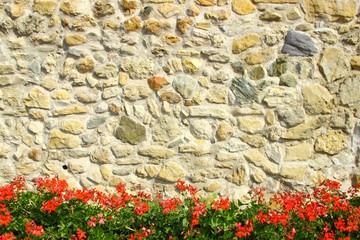 Flowers in front of stone wall