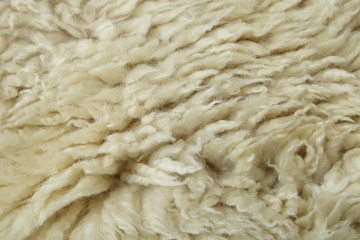A full page of natural white sheepskin background texture