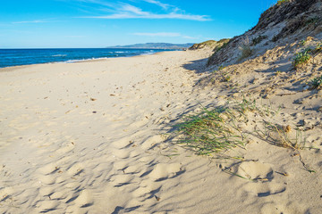 sand dune in Platamona beach
