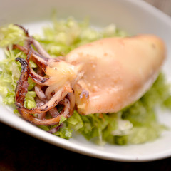  calamari ripieni