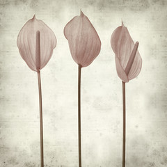 textured old paper background