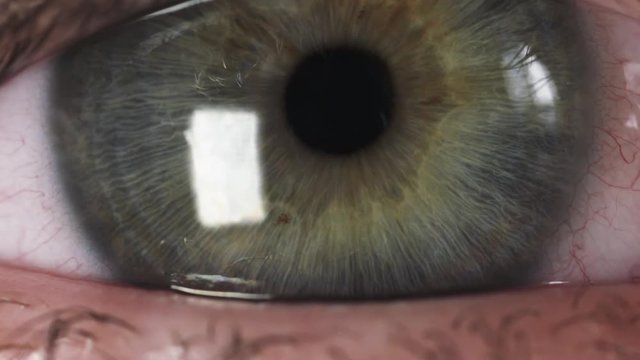 super macro shot of female teen green eye in slow motion