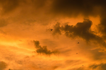 orange sky background