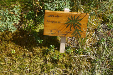 Three lake moor (Trijezerni slat), National Park Sumava, Bohemian forest, Czech Republic