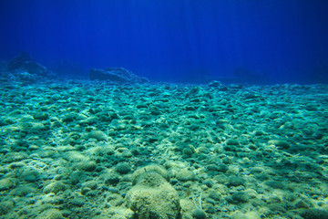 Fototapeta na wymiar underwater background with sun rays