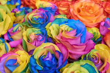Fototapeta na wymiar Bunch of multicolored roses