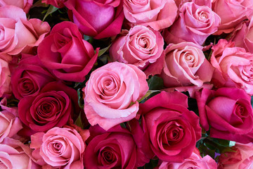 Bunch of roses