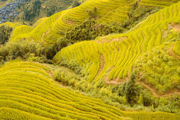 Beautiful rice terraces in Longji - China