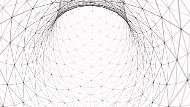 bw torus inside