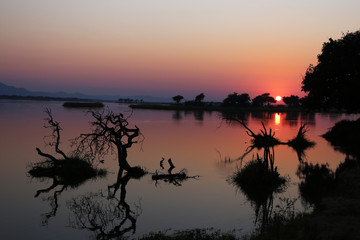 Zambezi river sunrise silhouette