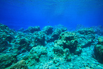 Fototapeta premium Underwater rocks 