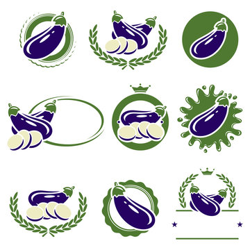 Eggplant labels and elements set. Vector