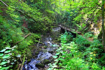 Wooden bridge in Kamacnik canyon, Croatia