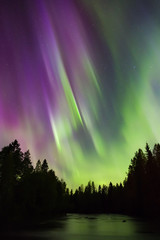 Colorful northern lights (Aurora borealis) in the sky