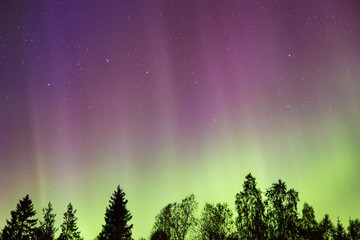 Fototapeta na wymiar Northern lights (Aurora borealis) in the sky