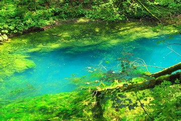 Turquoise color of Kamacnik river spring, Croatia