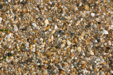 abstract background with dry round reeble stones