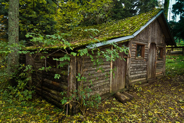 Wooden hut in a forest at mountain Goc in Serbia