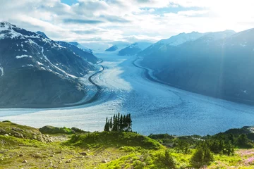 Selbstklebende Fototapete Gletscher Lachsgletscher